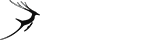 免费版本的在线短信电话轰炸机